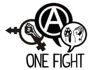 One_fight_modif3